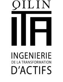 logo EXÉCUTIVE ITA ingénierie SAINT-cLOUD